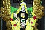 இன்று சூரசம்ஹாரம் சக்தி அளித்தாள் வேல்!