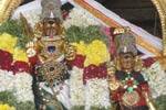 திருப்பரங்குன்றத்தில் சஷ்டி தேரோட்டம்!