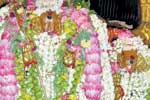 திருப்பரங்குன்றம் முருகனுக்கு சாந்தாபிஷேகம்!