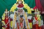 வரதராஜ பெருமாளுக்கு திருபவித்ரோத்ஸவம்
