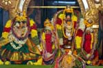 கள்ளக்குறிச்சி பெருமாள் கோவிலில் திருபவித்ரோத்சவம்