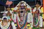 சேலம் கோட்டை அழகிரிநாதர் கோவிலில் திருபவித்ர உற்சவம்!