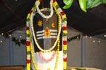 ஏகாம்பரேஸ்வரருக்கு சிறப்பு வழிபாடு!