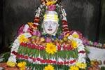 செஞ்சி தாண்டவேஸ்வரர் கோவிலில் அன்னாபிஷேகம்!