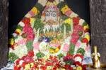 விருத்தகிரீஸ்வரர் கோவிலில் அன்ன அபிஷேக விழா!