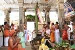 மயிலாடுதுறையில் துலா உற்சவ திருக்கொடியேற்றம்!