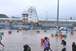 திருப்பதியில் பலத்த மழையிலும் பக்தர்கள் வருகை அதிகரிப்பு!