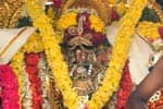பரிமளரங்கநாதர் கோயிலில் திருத்தேரோட்டம்!