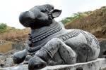 அவிநாசியில் உருவாக்கப்பட்ட 40 டன் எடையில் நந்தி சிலை!