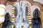 நாகநாதஸ்வாமி கோவிலில் ராகுபகவானுக்கு அபிஷேகம்!