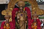 காஞ்சிபுரம் வரதராஜருக்கு ரத்தின அங்கி சேவை!