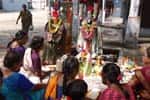 நெல்லி மரத்திற்கும் துளசி செடிக்கும் பக்தர்கள் சிறப்பு பூஜை!