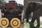 திருப்பரங்குன்றம் தேர் பளிச்!