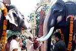 குருவாயூர் கோவில் யானை கேசவன் நினைவு தினம்!