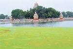 பாசியால் மாசடையும் மதுரை மாரியம்மன் தெப்பக்குளம்!