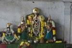 வைகுண்டவாசகப்பெருமாள் கோவிலில் பவித்ரோத்சவ விழா!