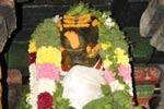 செஞ்சி கோவில்களில் நந்தீஸ்வரருக்கு பிரதோஷ வழிபாடு!