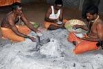 பழநிகோயில் கோசாலை சாணத்தில் இயற்கை முறையில் விபூதி தயாரிப்பு!