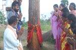 வேப்ப மரத்தில் பால்: பக்தர்கள் வழிபாடு!