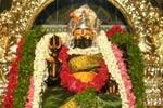 மாவிலாதோப்பு பத்திரகாளியம்மன் கோயில் கும்பாபிஷேகம்!