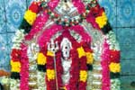 மகா கால பைரவர் ஜெயந்தி விழா!