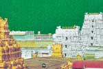 திருமலையில் புத்தாண்டு தரிசனம்பரிந்துரை கடிதங்களுக்கு அனுமதி ரத்து!