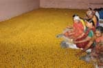 சுயம்பு ஆஞ்சநேயர் கோவில் பிரசாதம்:50 ஆயிரம் லட்டுகள் தயாரிப்பு!
