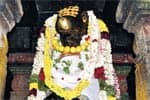 விருத்தகிரீஸ்வரர் கோவிலில் பிரதோஷ சிறப்பு வழிபாடு!
