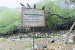 கழிப்பிடமாக மாறும் வரதராஜ பெருமாள் கோவில் நிலம்!
