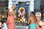 ராமநாதீஸ்வரர் ஆலயத்தில் பிரதோஷ வழிபாடு!
