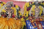 பரமக்குடி தர்மசாஸ்தா புஷ்கலா தேவி திருக்கல்யாணம்!
