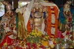 போடி திருக்கல்யாணம்!