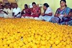 கஸ்தூரி அரங்கநாதர் கோவிலில் வைகுண்ட ஏகாதசி: 60 ஆயிரம் லட்டு தயார்