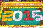 கோலாகலமாக துவங்கியது 2015ம் ஆண்டு!