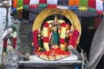 திருத்தணி முருகன் கோவிலில் திருப்படி திருவிழா!