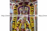 கோவிந்தா கோஷம் முழங்க சொர்க்கவாசல் திறப்பு!