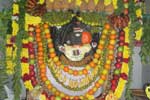 அங்காளம்மன் கோவிலில் புத்தாண்டு சிறப்பு வழிபாடு !