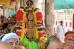 ஸ்ரீரங்கம் ரெங்கநாதர் கோவிலில் ராபத்து உற்சவம்!