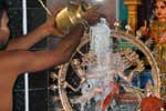 முத்துக்குமார சுவாமி கோவிலில் ஆருத்ரா தரிசன விழா!