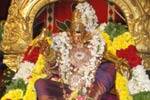 திருப்பரங்குன்றத்தில் எண்ணெய்க் காப்பு திருவிழா துவக்கம்!