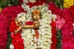 ரிஷிவந்தியம் கோவிலில் ஆருத்ரா தரிசன வைபவம்