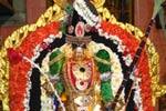 சிறப்பு அலங்காரத்தில் வரதராஜ பெருமாள் அருள்பாலிப்பு!