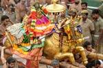ஸ்ரீரங்கம் ரெங்கநாதர் கோவிலில் வேடுபறி உற்சவம்!