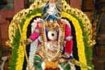 வரதராஜ பெருமாள் சிறப்பு அலங்காரத்தில் அருள்பாலிப்பு!