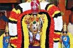 பண்ருட்டி வரதராஜ பெருமாளுக்கு சிறப்பு அலங்காரம்!