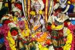 கன்னிகா பரமேஸ்வரி கோவிலில் ஸ்ரீநிவாச கல்யாண மகோத்சவ விழா!