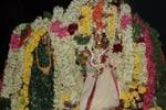 வரதராஜ பெருமாள் கோவிலில் திருக்கல்யாண உற்சவம்!