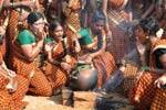 பொங்கல் விழா: கும்மியடித்து கொண்டாட்டம்!