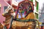ராமேஸ்வரத்தில் மார்கழி அஷ்டமி: ராமநாதசுவாமி வீதி உலா!