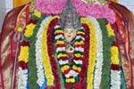பண்ணாரி அம்மன் கோவிலுக்கு பக்தர்கள் பாதயாத்திரை பயணம்